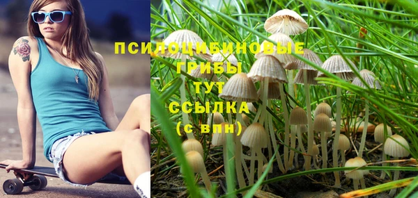 первитин Заволжск