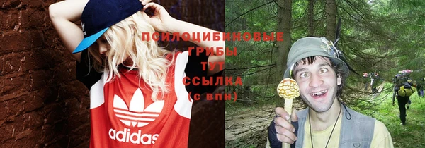 первитин Заволжск