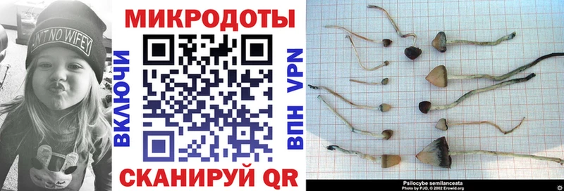 Галлюциногенные грибы ЛСД  Купить закладки  Тосно 