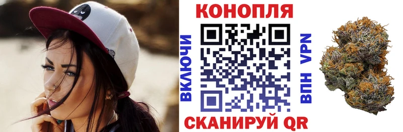 Купить  Тосно  Каннабис марихуана 